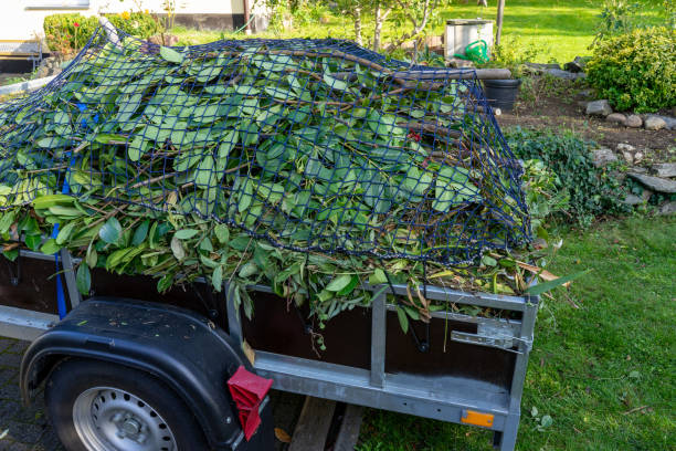 Best Furniture Removal  in Bourbonnais, IL